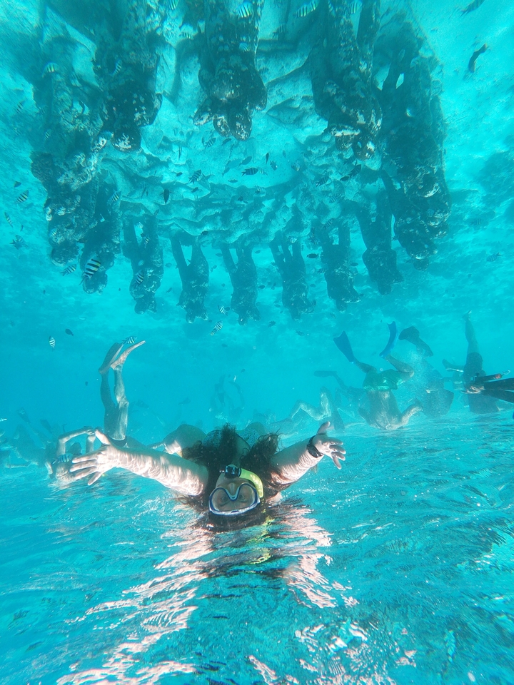 Snorkelers underwater with fish and coral.