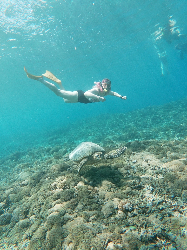 Person snorkeling with a turtle over a coral reef.