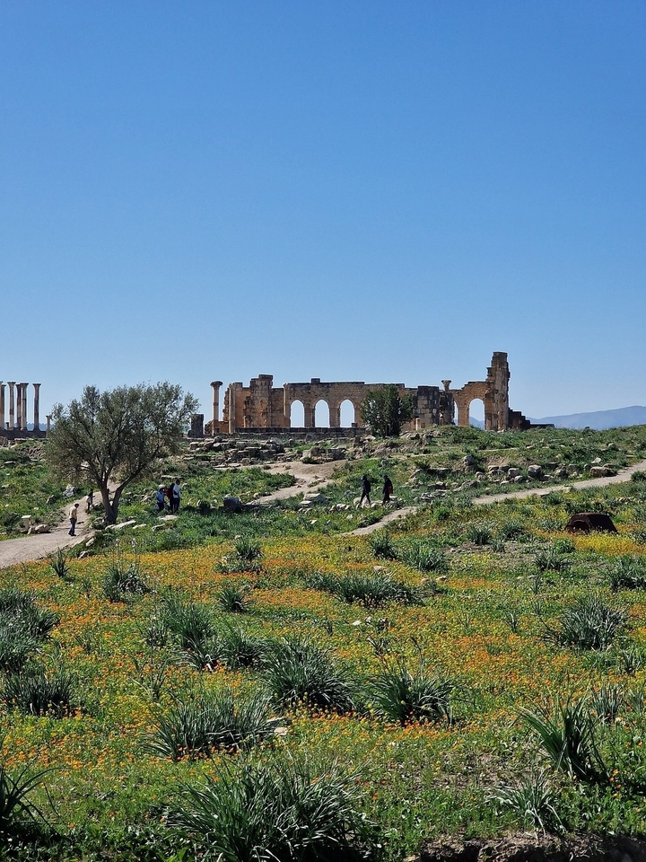 Ruins of an ancient structure with arches, surrounded by grassy fields and people walking.