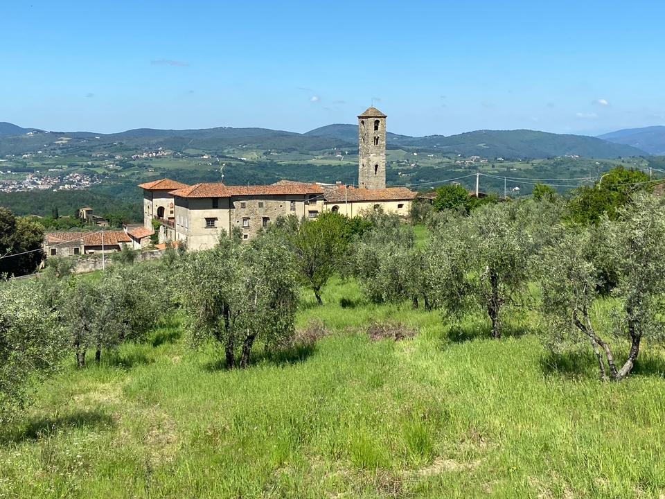 Paysage rural italien avec oliviers et une tour.