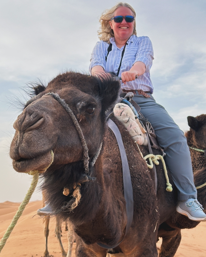 Person riding a camel in a desert landscape.