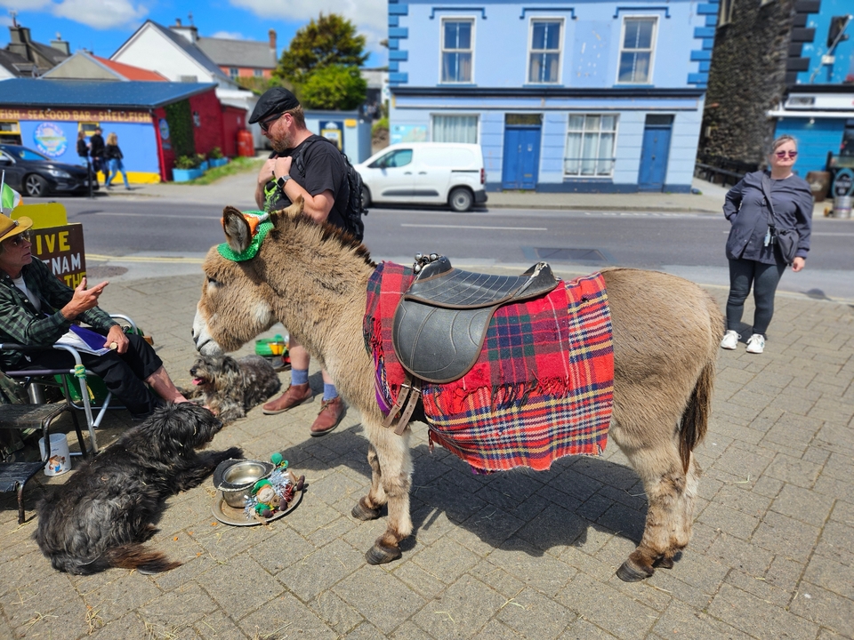 Man with a donkey dressed in colorful fabric on a street.