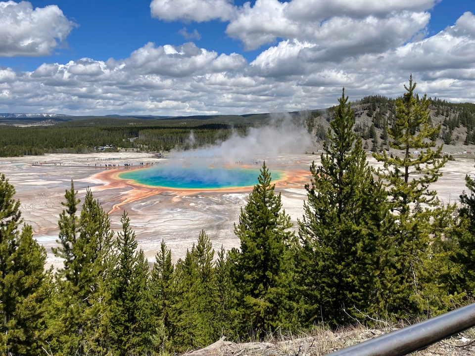 Vibrant geothermal pool surrounded by forests.