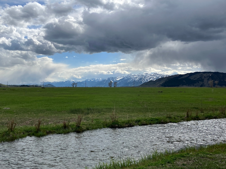 Expansive grassy field with distant snow-capped mountains.