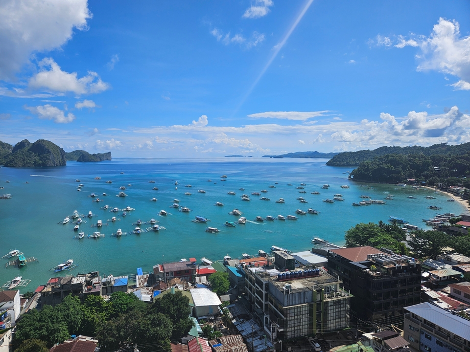 Vue panoramique sur une baie remplie de bateaux avec des collines verdoyantes.