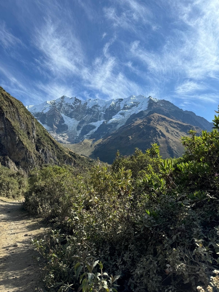 Tall snowy mountains with lush green foreground.