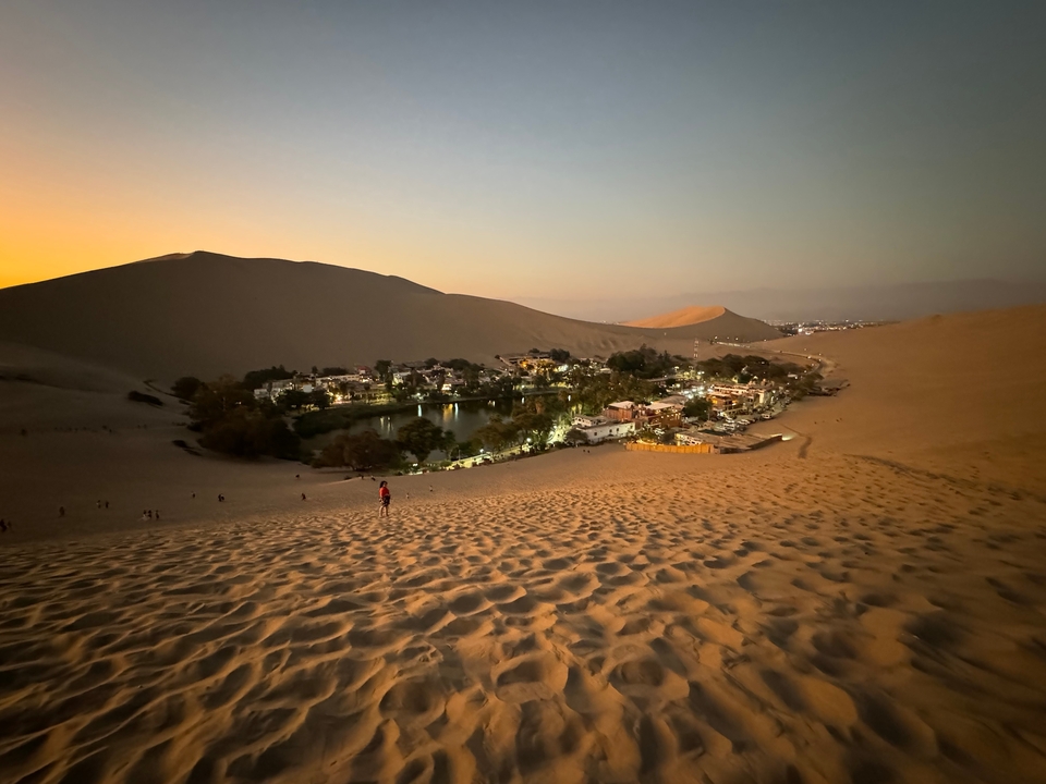 Sand dunes surrounding an oasis at dusk.