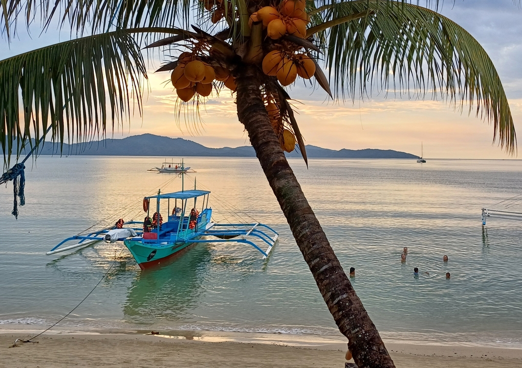 Scène de coucher de soleil avec bateaux et palmiers.