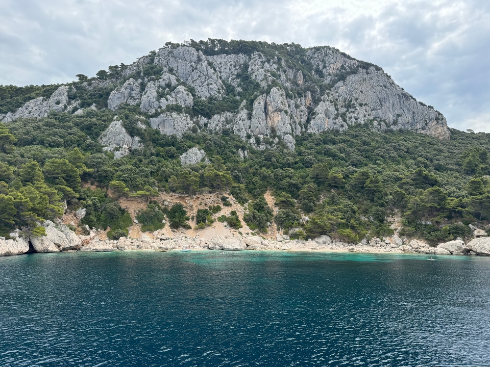 Rocky coastline with a lush, tree-covered hillside.