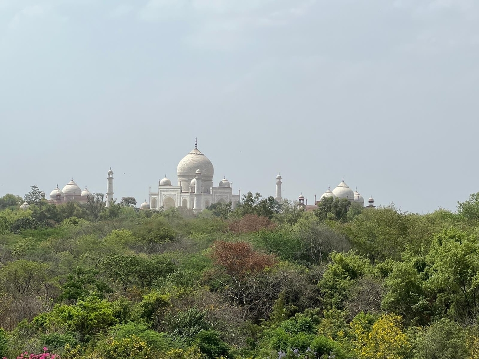 Distant view of the iconic Taj Mahal surrounded by trees.