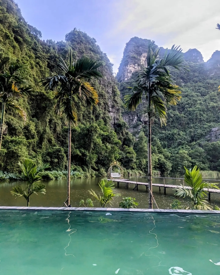 A wooden dock surrounded by palm trees and a calm lake.