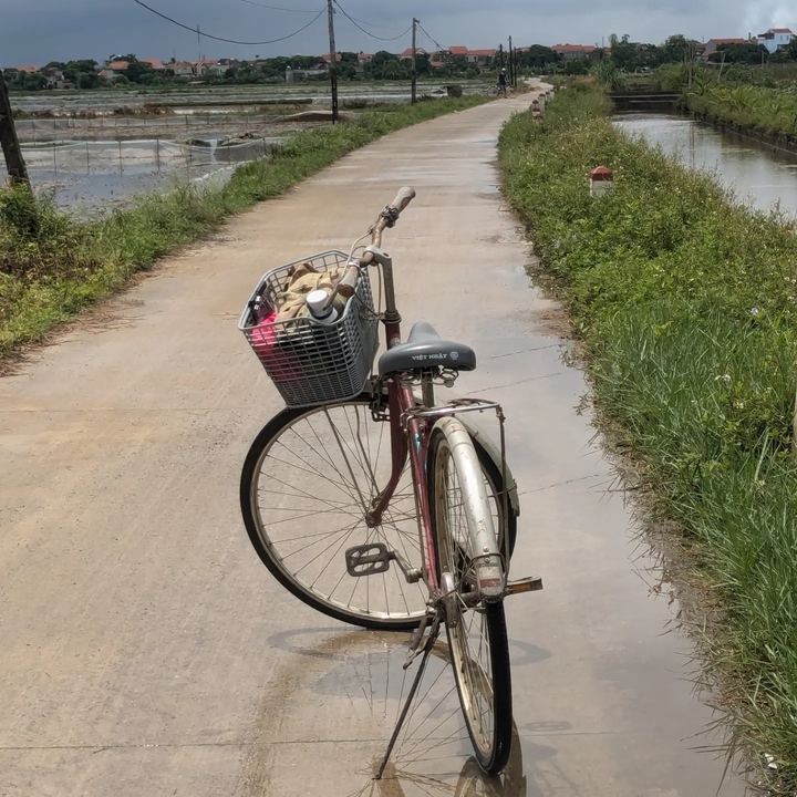 A lone bicycle on a rural path with surrounding greenery.