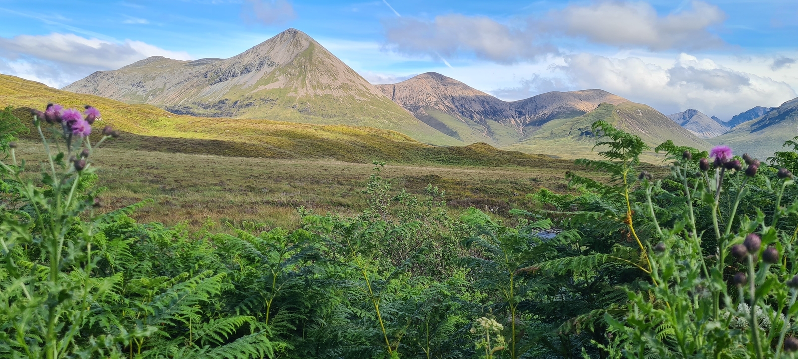 Majestic mountain range with lush green foreground.