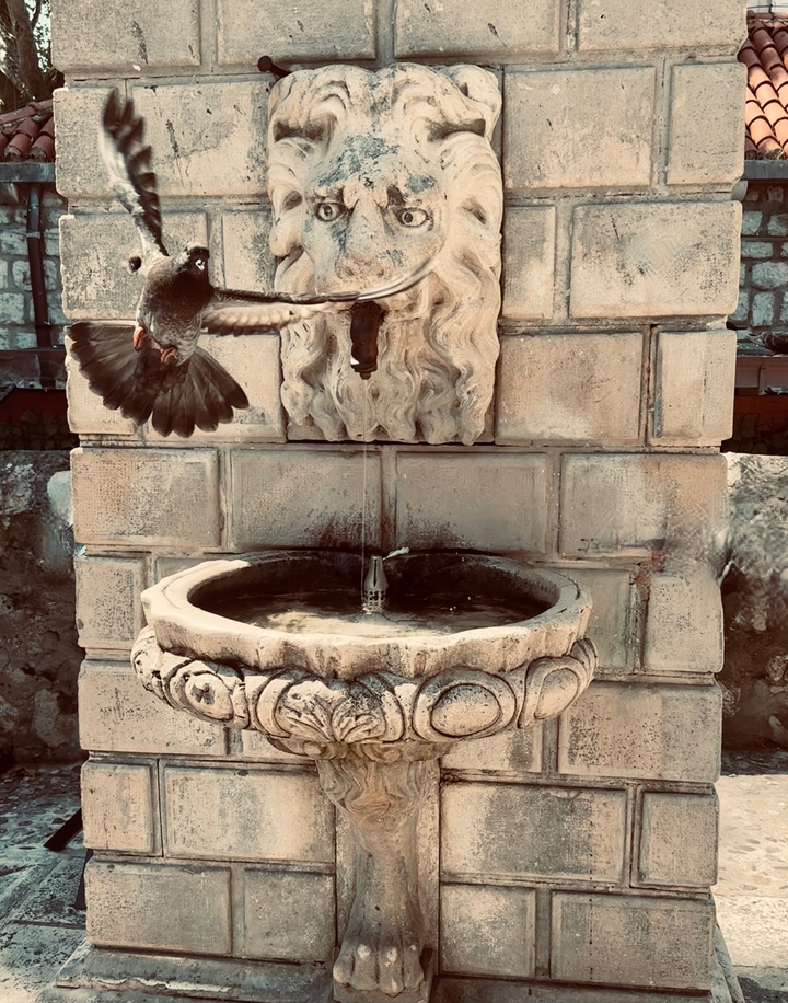 Fontaine en pierre avec un pigeon en vol.