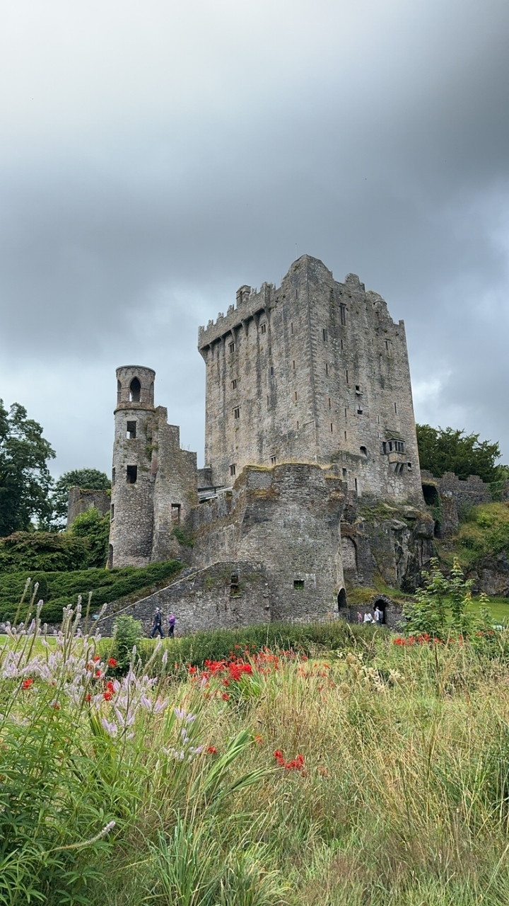 Blarney Castle with its impressive stone architecture amidst greenery.