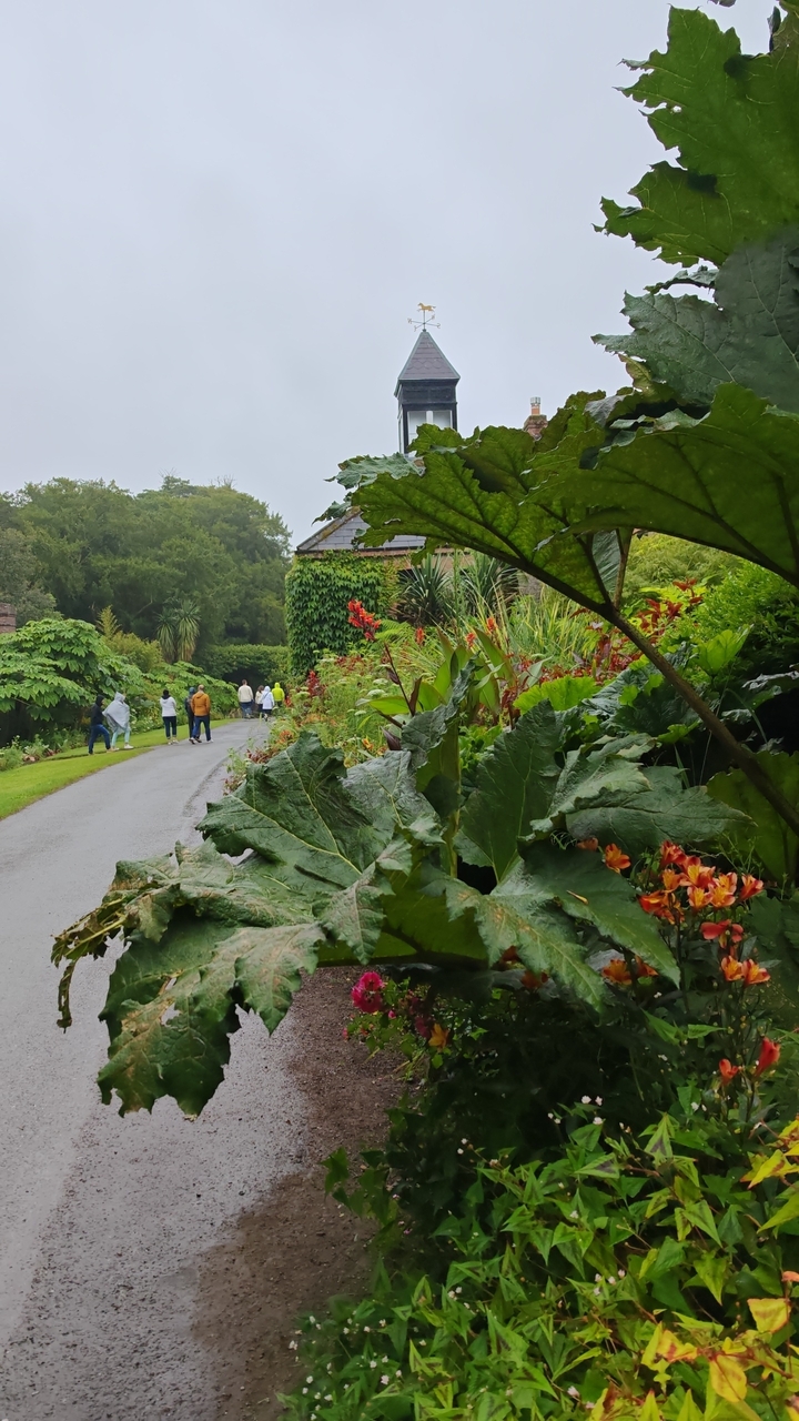 People walking along a garden path with lush vegetation.