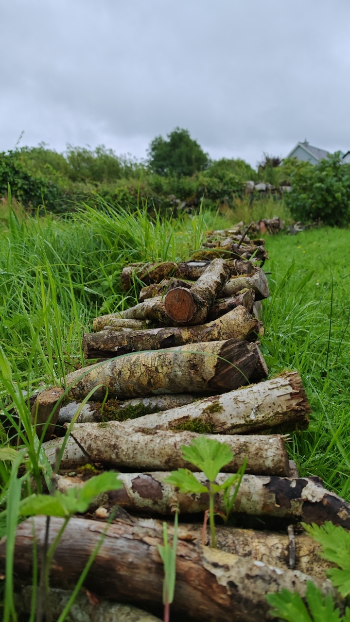 Stacked logs in a grassy field.