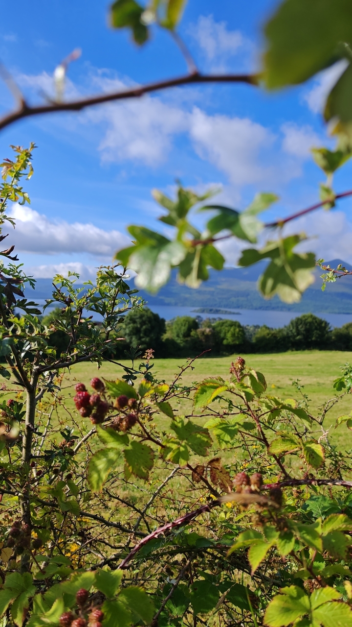 Scenic view of a water body with islands in the background.