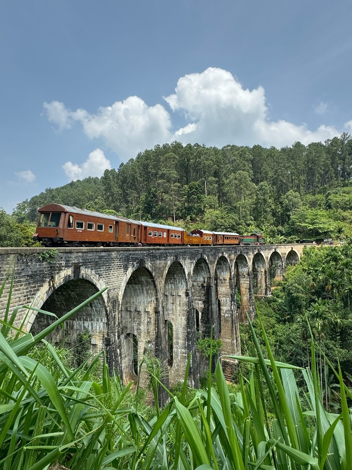 Train on a bridge surrounded by forested hills.