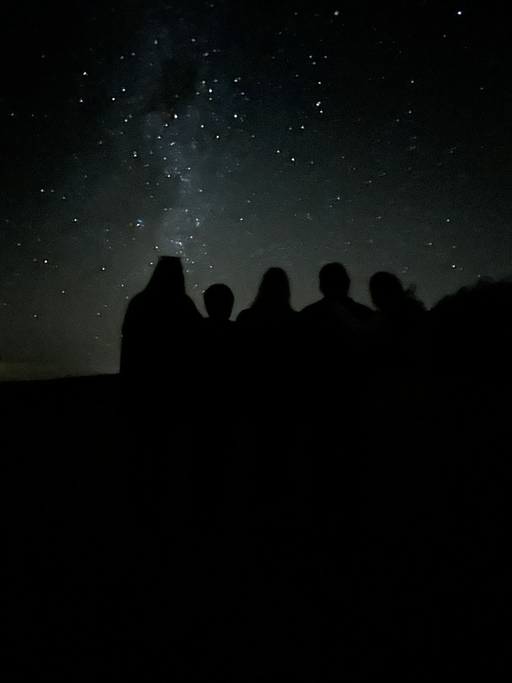 Silhouettes of people stargazing at night.