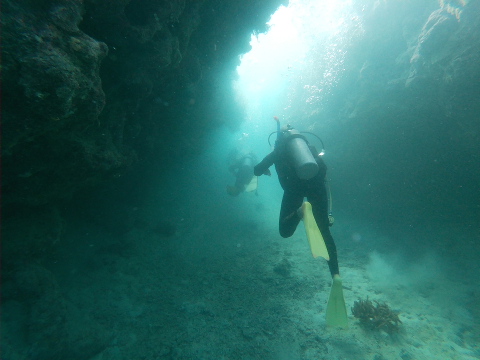 Divers exploring underwater with scuba gear.