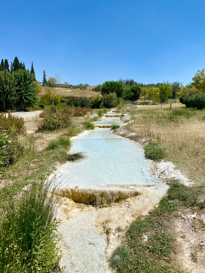 Petits ruisseaux avec de la verdure environnante par une journée ensoleillée.