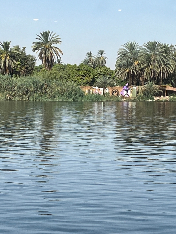 Une vue sereine d'une rivière avec des bâtiments et des palmiers en arrière-plan.