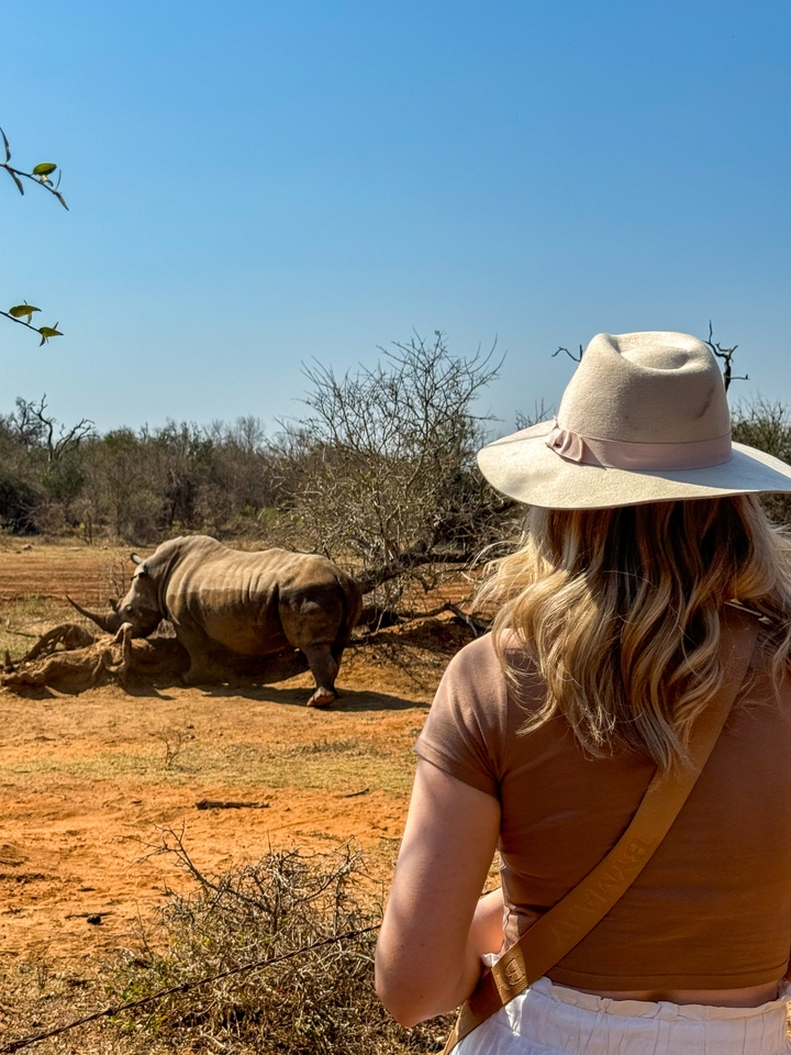 Woman observing a white rhino in the savannah.