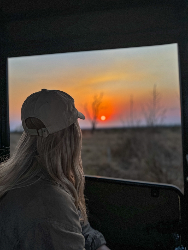 Person gazing at a vibrant sunset over the savannah.