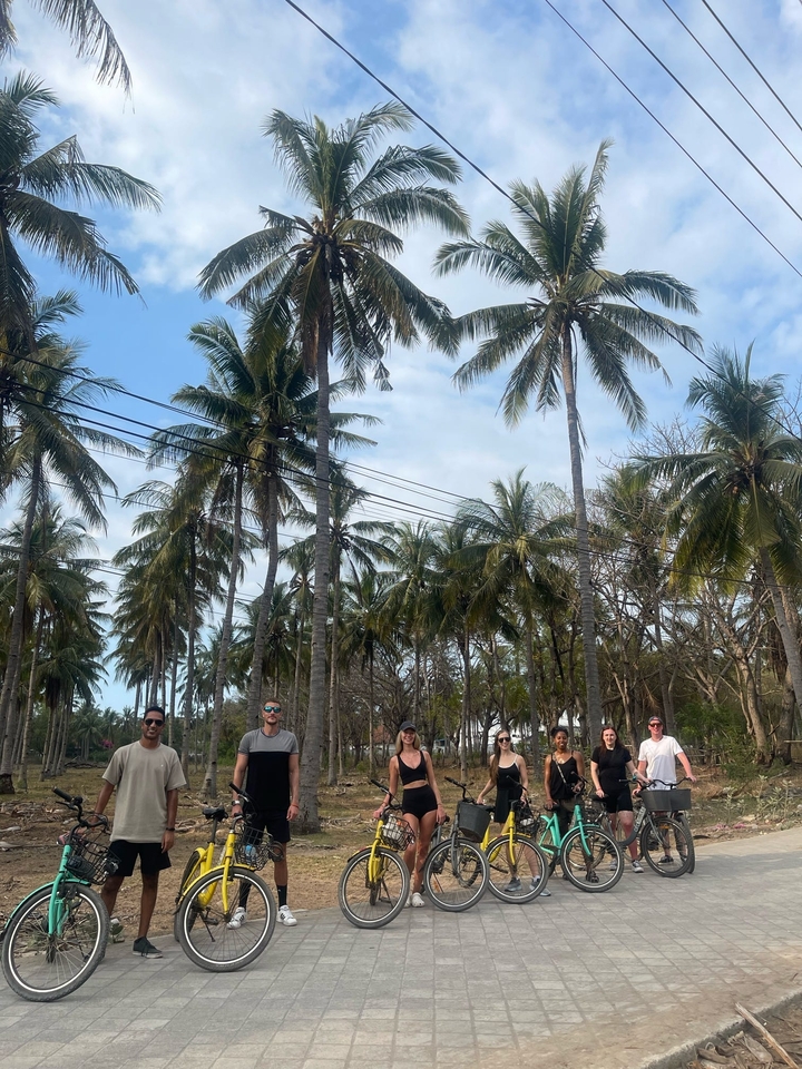 Group of people walking under palm trees on a sunny day.