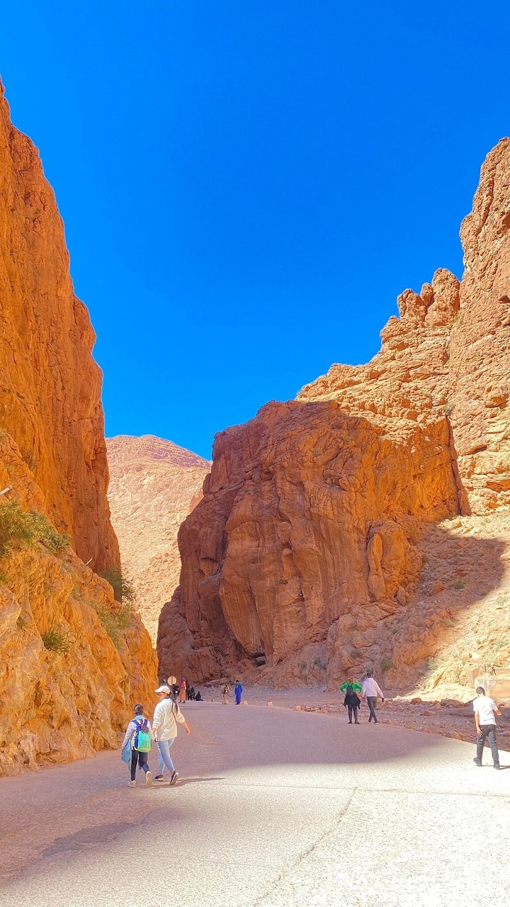Vue imprenable des gorges du Todra avec formations rocheuses.