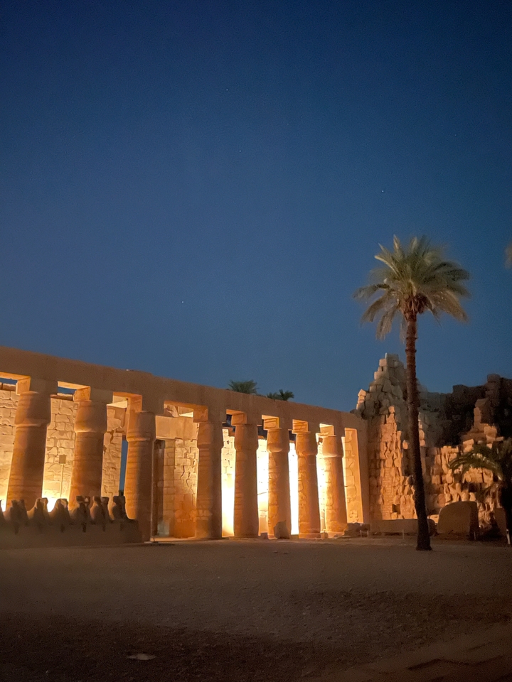 Temple ruins illuminated at night with a palm tree nearby.