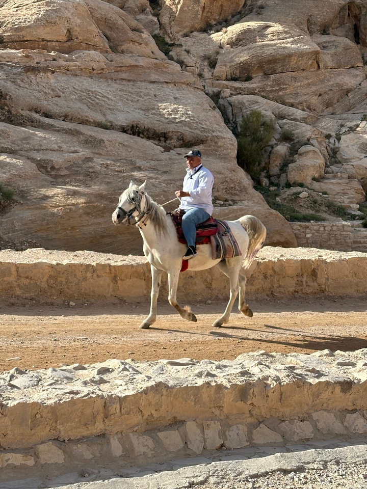 Person riding a horse in a desert area.