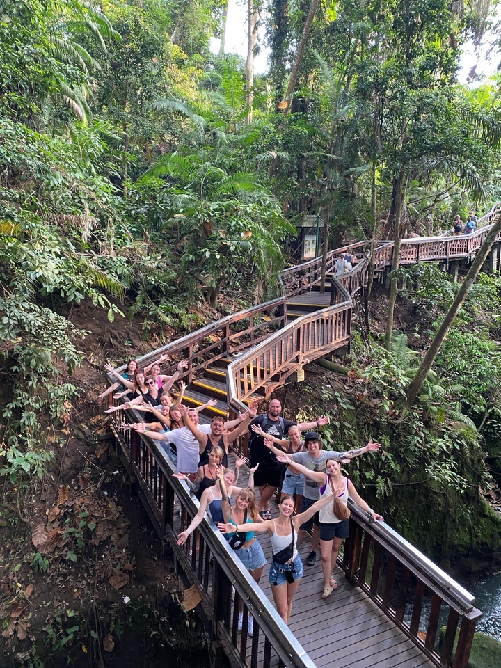 Group of people with arms raised on a boardwalk in a lush tropical setting.