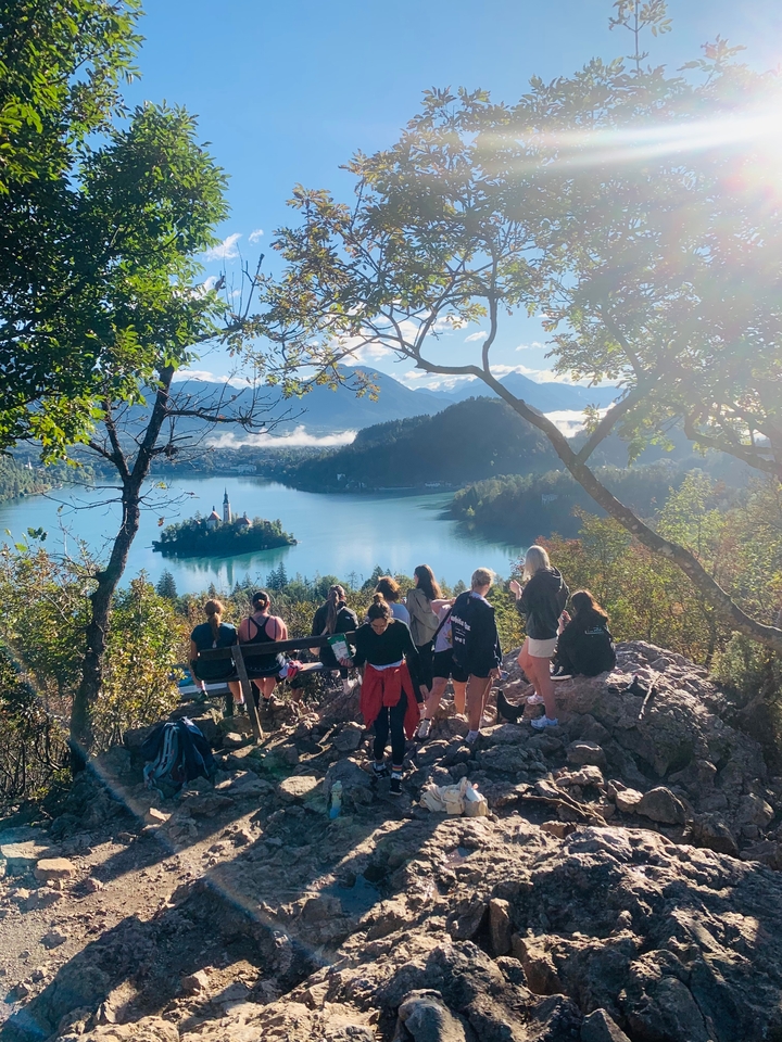 Group of people overlooking a picturesque lake and forest.