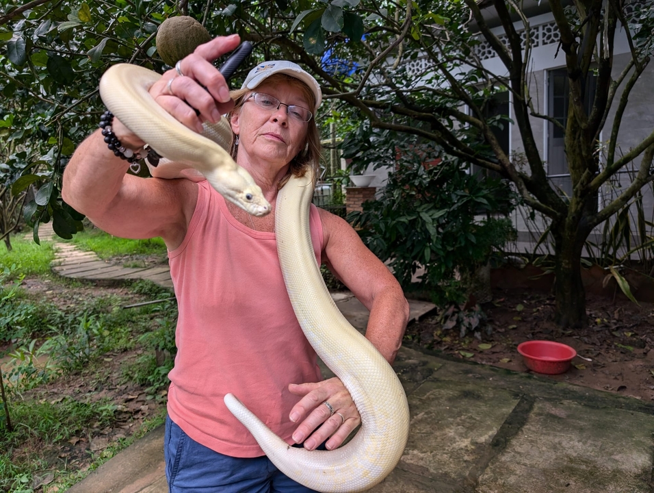 Woman holding a large snake with greenery in the background.