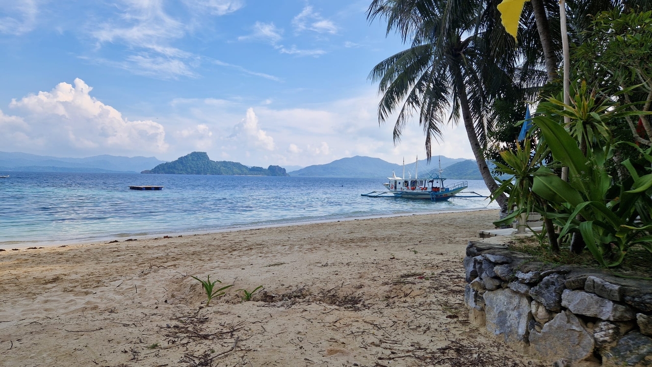 Vue sur la plage avec bateau et palmiers.