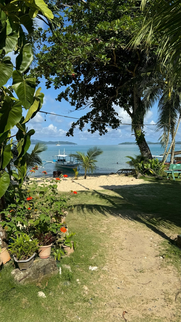 Vue panoramique de plage avec un bateau et des plantes tropicales.