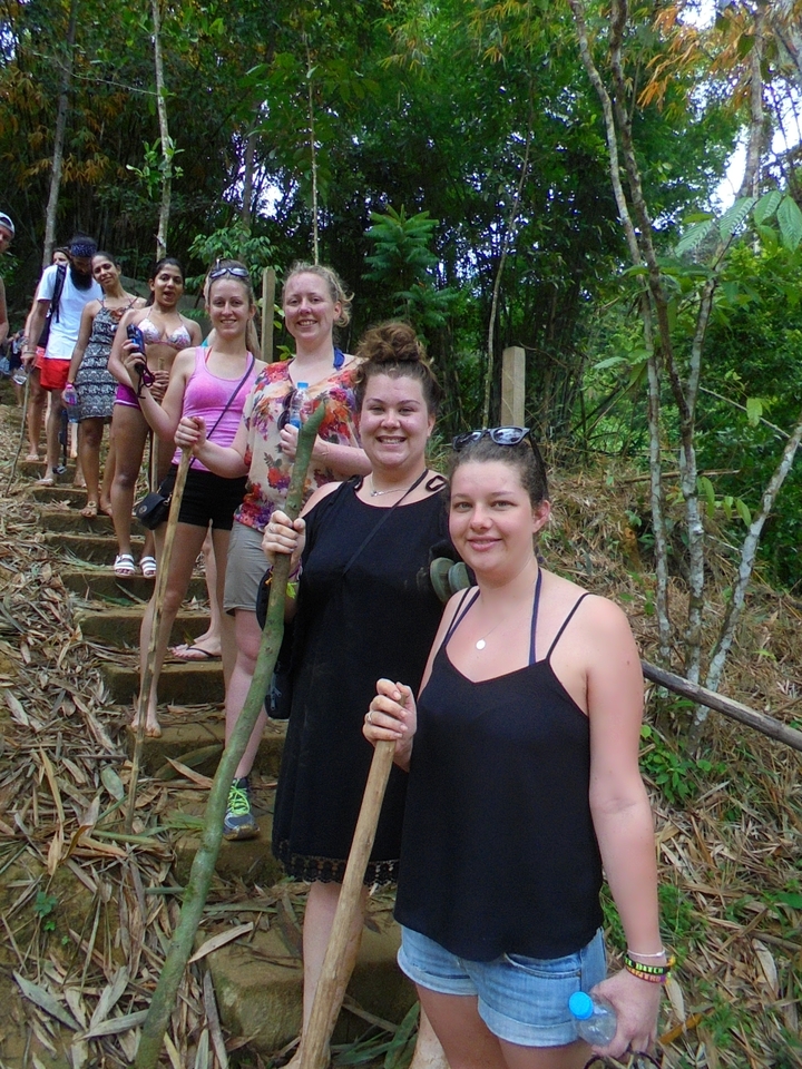 Group of people hiking in a forest with walking sticks.