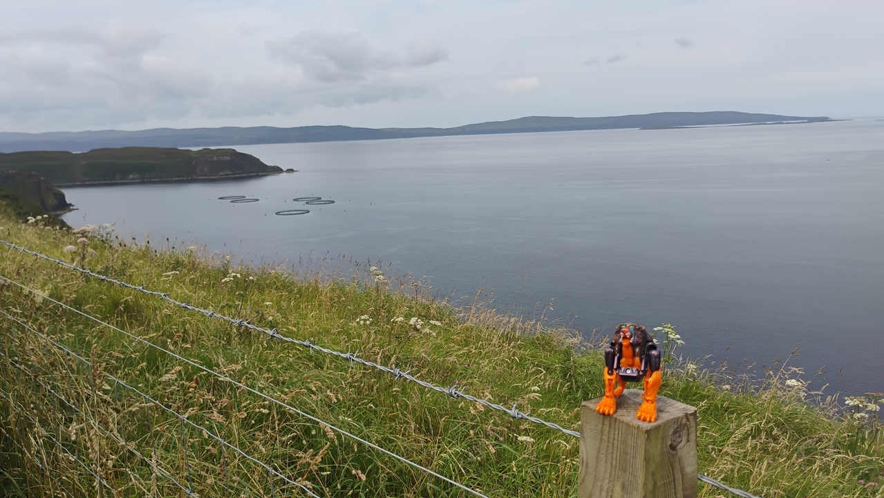View from a cliff with water and fish cages.