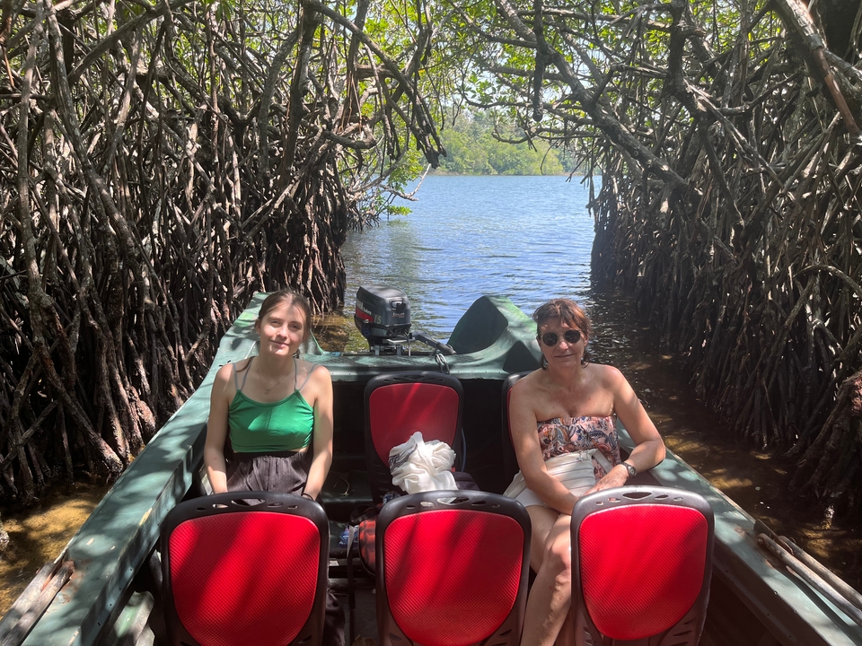 Des personnes assises dans un bateau entouré de mangroves.