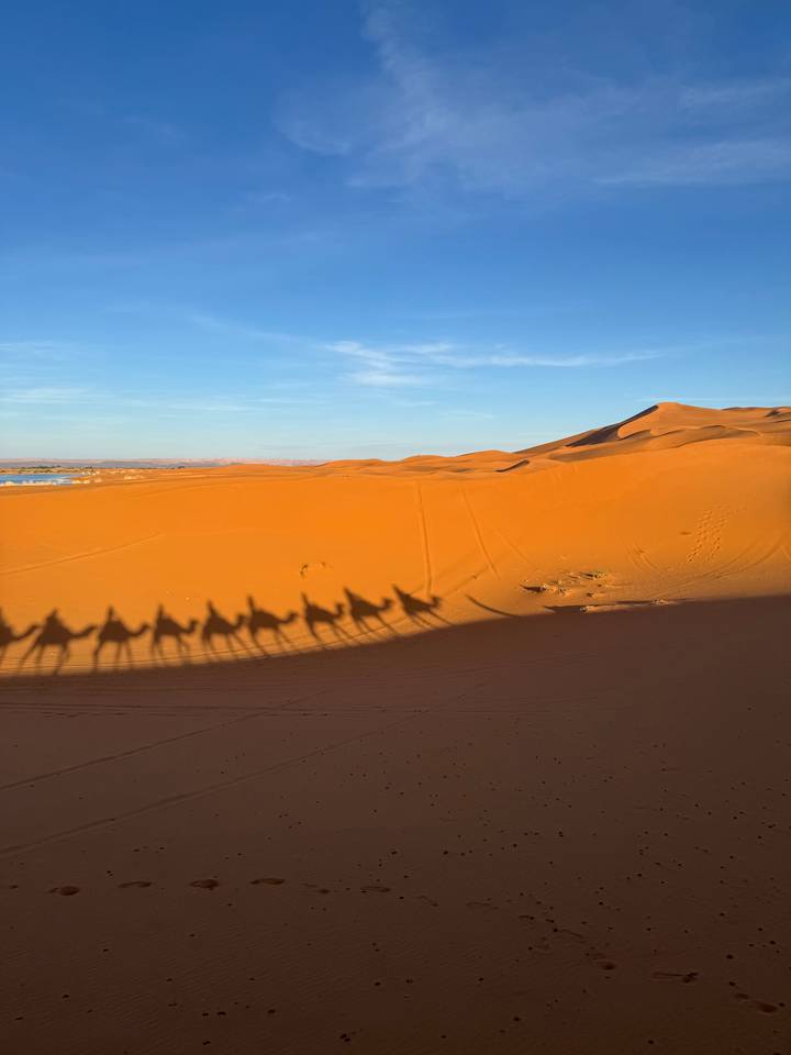 Desert landscape with camel shadows.