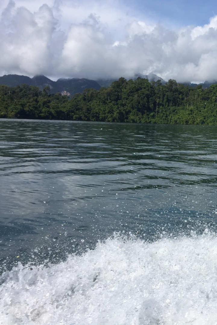 Water body with trees on the shore, calm atmosphere.