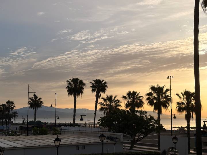Sunrise over the coastline with palm trees.