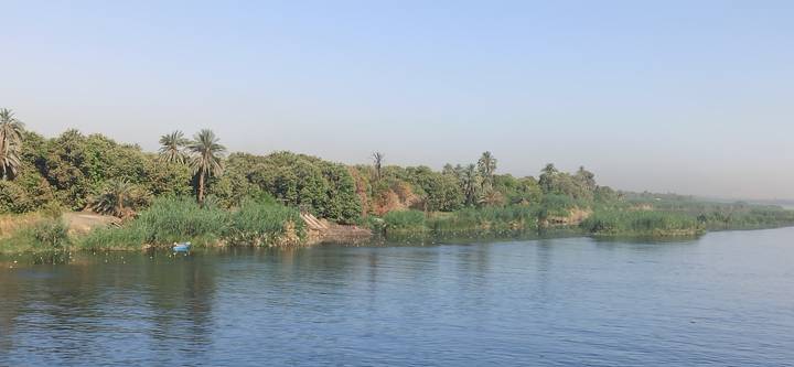 Berge avec une végétation luxuriante et des palmiers.