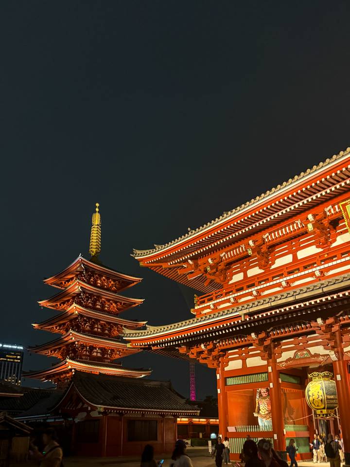 Illuminated pagoda and temple roof at night.