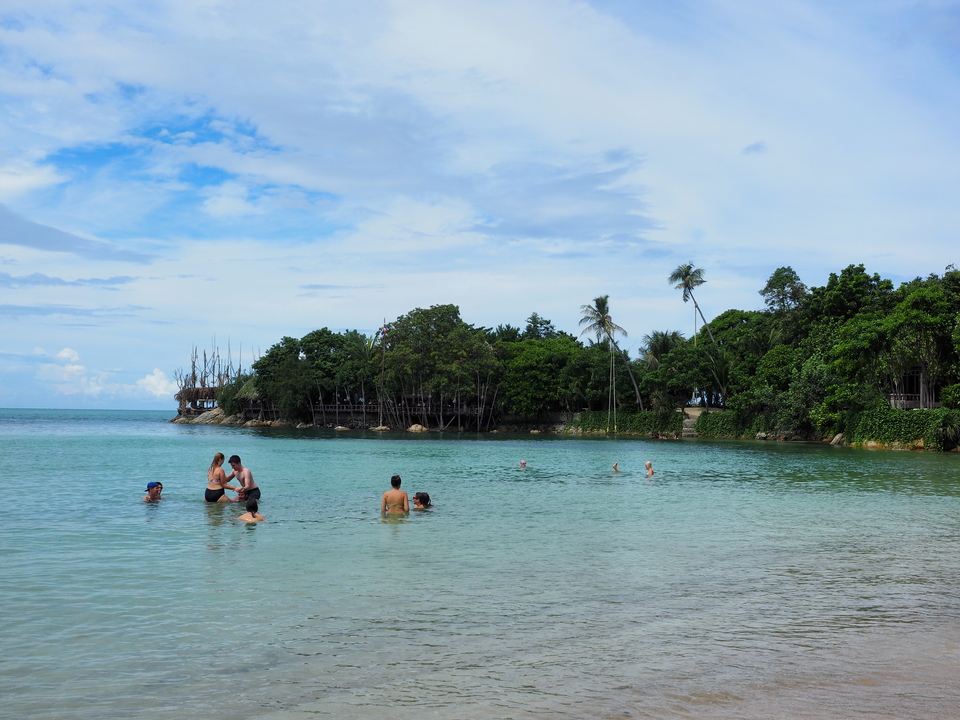 People swimming near a tree-covered island.