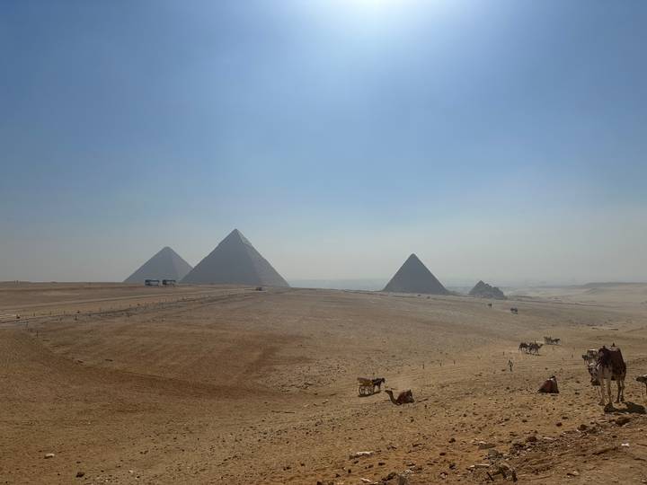 Piramides van Gizeh met kamelen en toeristen op de voorgrond.