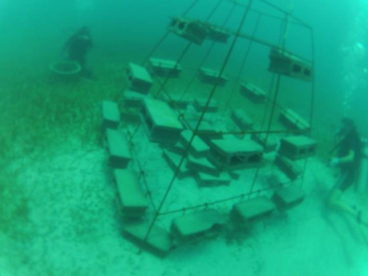 Underwater view of structures and divers.