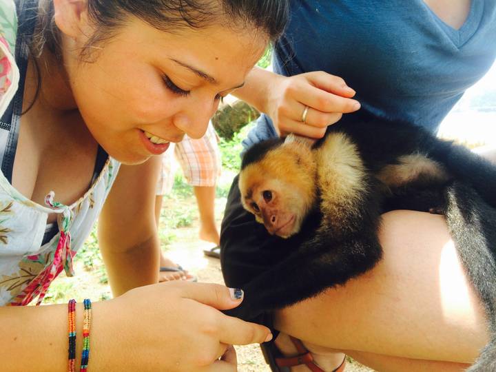 Person engaging with a small monkey.